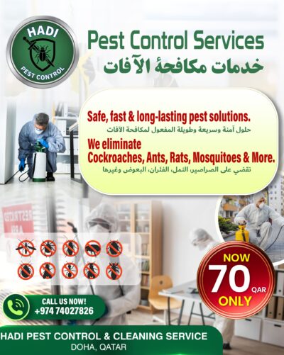 Hadi Pest Control & Cleaning Service social media poster design , Best advertising agency in Valanchery